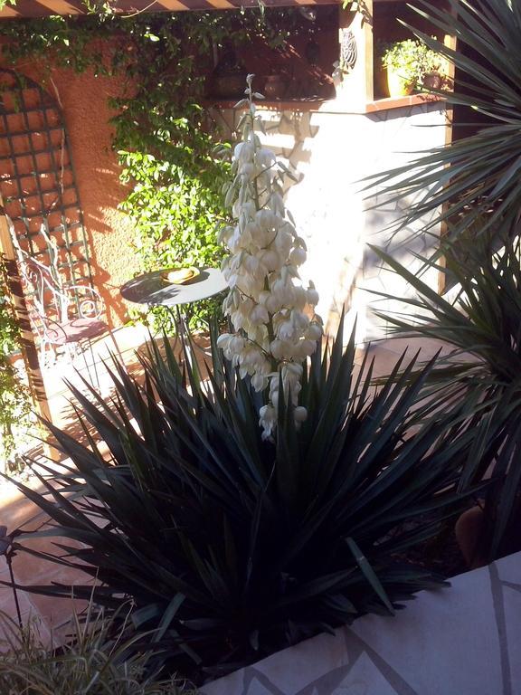 La Gentoliere Bed and Breakfast Pollestres Εξωτερικό φωτογραφία