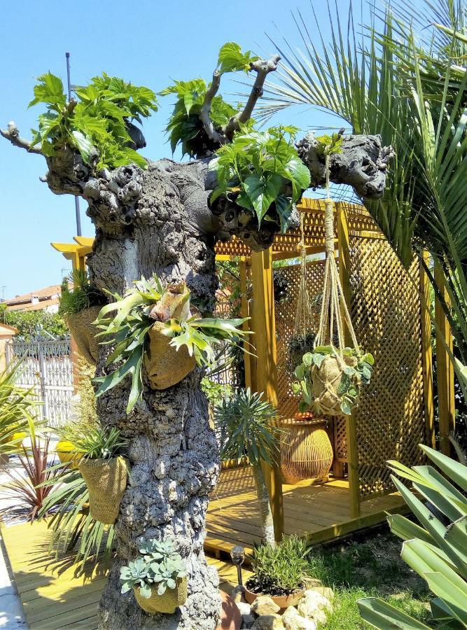 La Gentoliere Bed and Breakfast Pollestres Εξωτερικό φωτογραφία